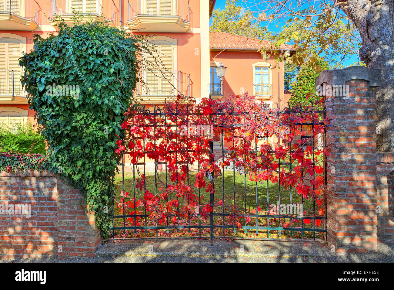 Couvre de vigne rouge metal gate dans le cadre de la brique clôture à l'entrée de la maison italienne typique dans le Piémont, Italie du Nord. Banque D'Images