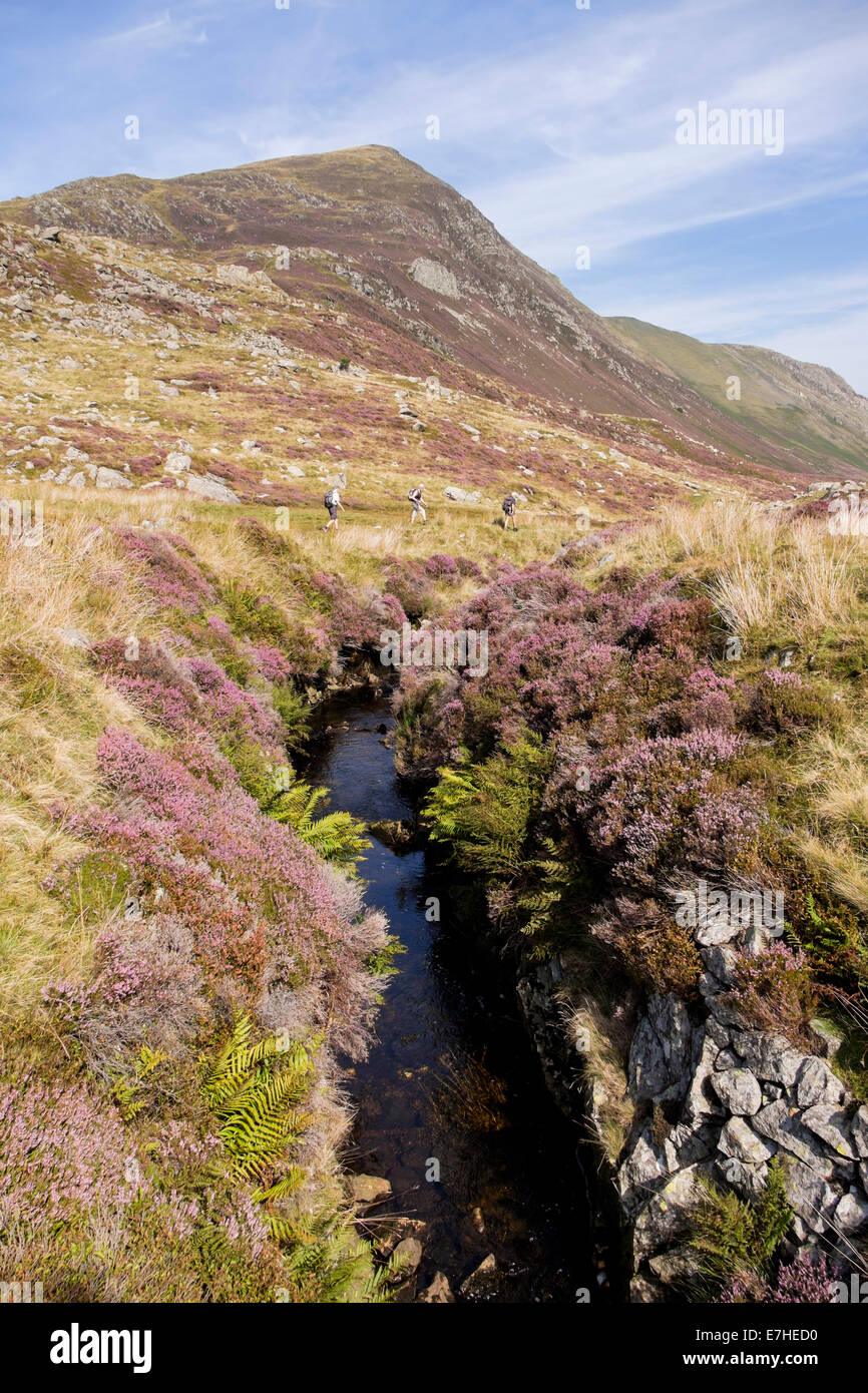 Afficher le long de ruisseau de montagne à Llithrig Pen-y-wrach (tête de sorcière glissante) dans Carneddau avec les marcheurs. Le Nord du Pays de Galles Snowdonia UK Banque D'Images