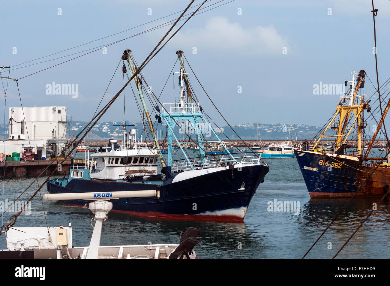 La flotte de chalutiers à brixham,kodenbrixham,la flotte de chalutiers koden,UK £27millions au débarquement des bateaux de poisson en Brixham en 2012 Banque D'Images