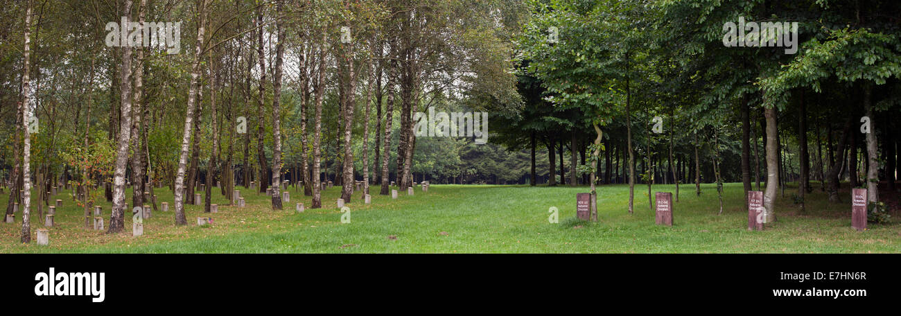 Bois de la paix / Bois de la paix américain dédié à la Seconde Guerre mondiale, deux anciens combattants et victimes belges à Bizory, Ardennes, Belgique Banque D'Images
