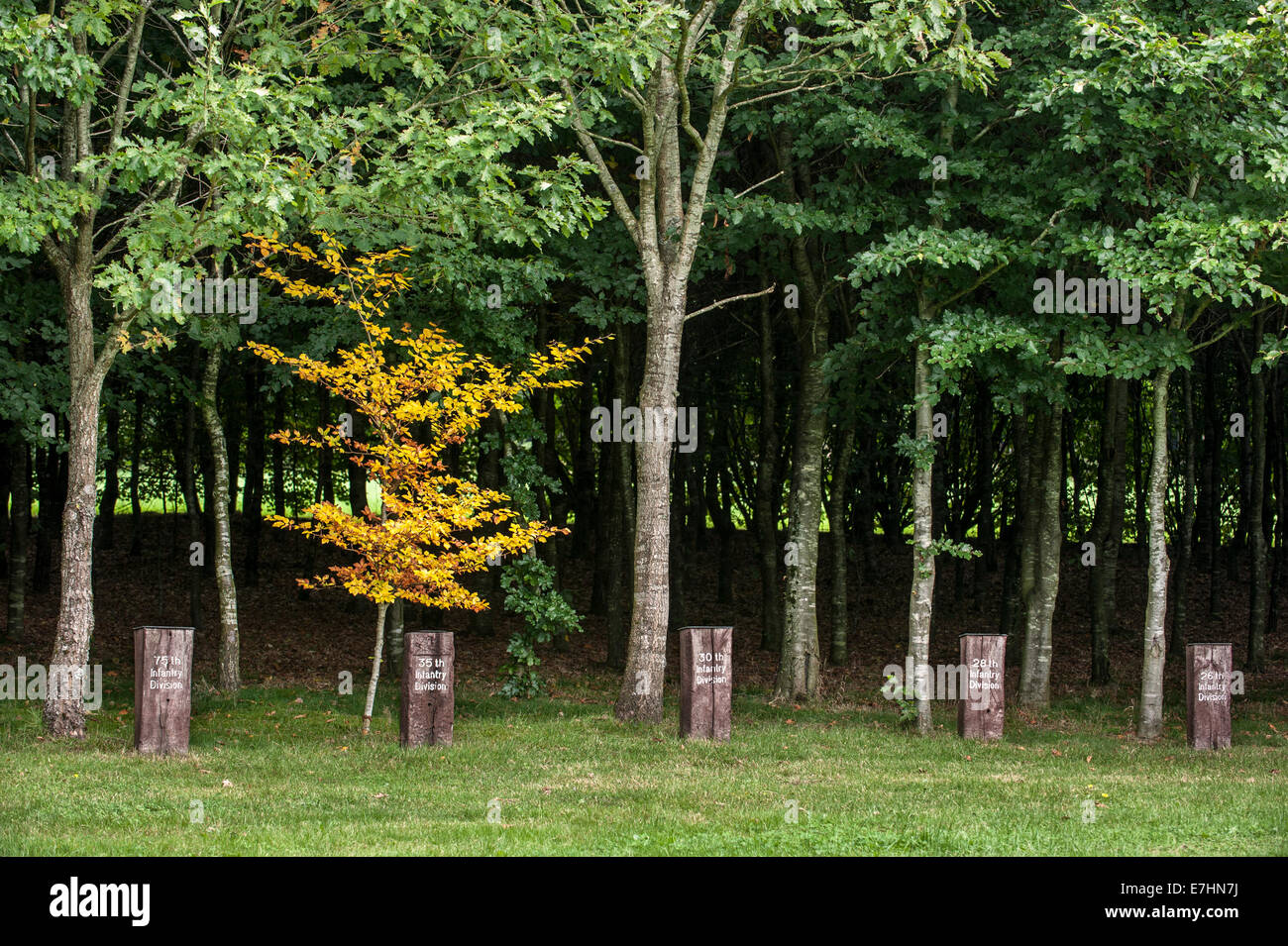 Bois de la paix / Bois de la paix américain dédié à la Seconde Guerre mondiale, deux anciens combattants et victimes belges à Bizory, Ardennes, Belgique Banque D'Images