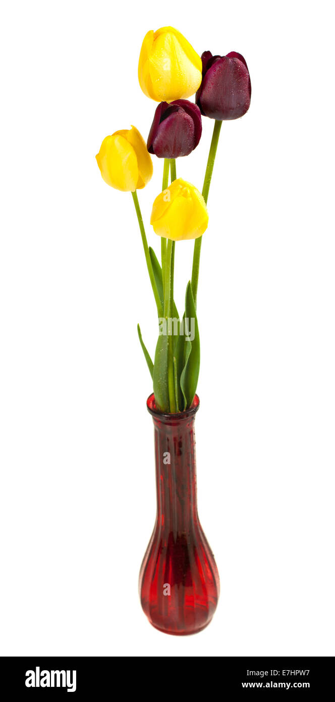 Tulipes colorées en vase isolé sur fond blanc Banque D'Images