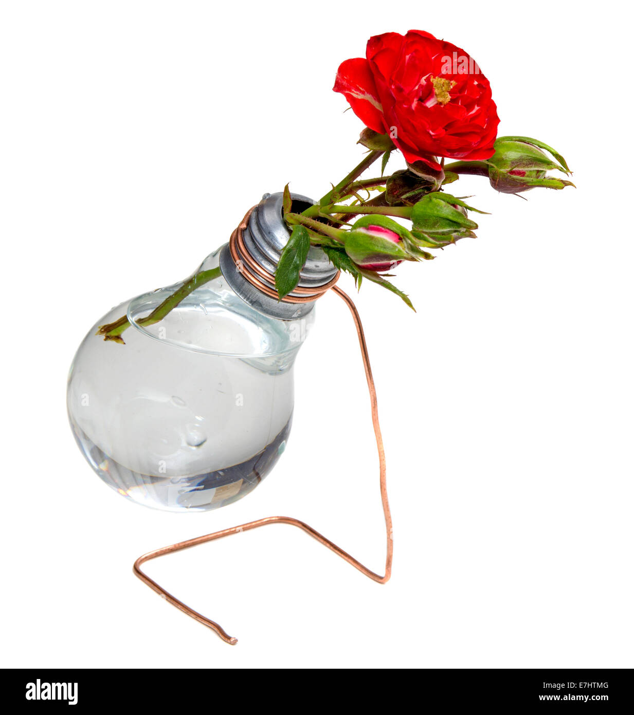 Vase ampoule avec des roses isolated over white background Banque D'Images