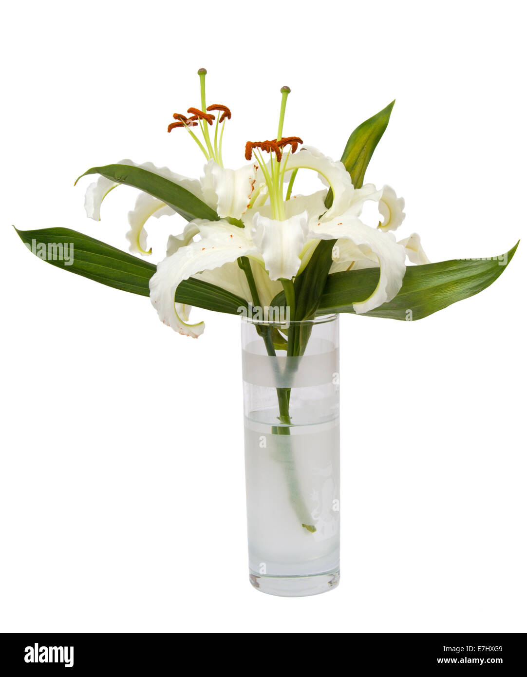 Bouquet de lys blanc en verre isolé sur fond blanc Banque D'Images