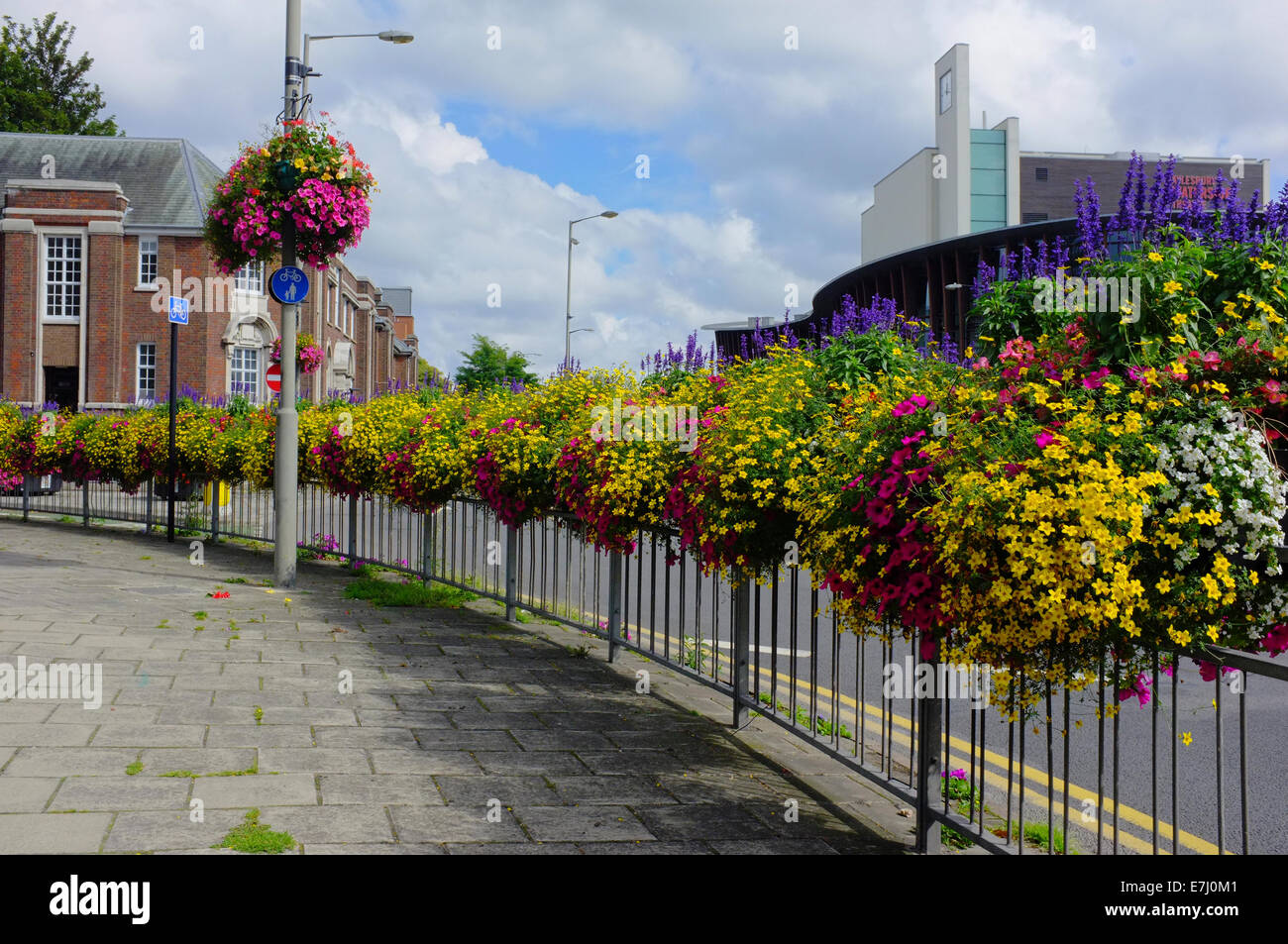 Fleurs Public décorant les rues de Aylesbury, Buckinghamshire, Angleterre Banque D'Images