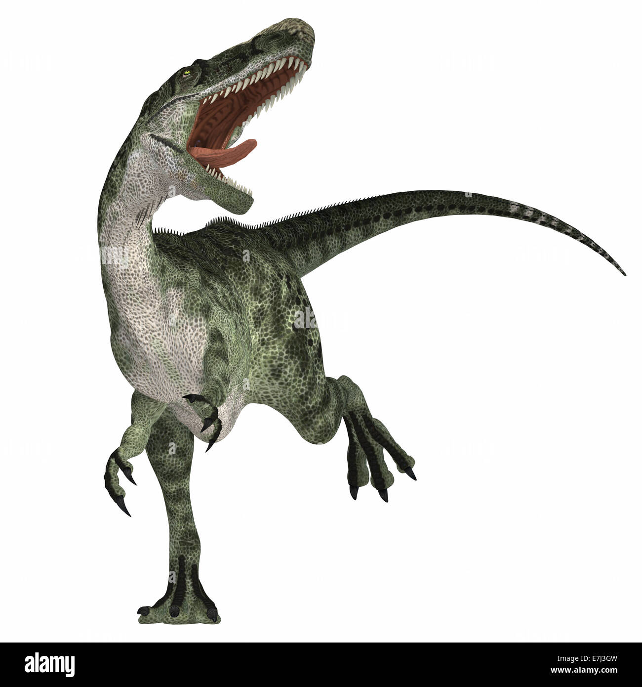 Monolophosaurus était un carnosaure prédateurs de l'âge jurassique de Chine et est liée à allosaurs. Banque D'Images