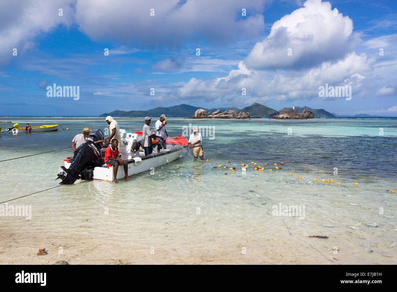 Les pêcheurs leur chargement de poisson frais sur la plage, Praslin, Seychelles Banque D'Images