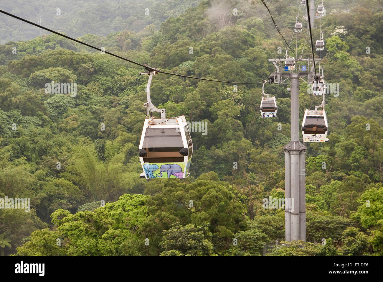 L'Asie, Chine, Chinois, paysage, paysage, nature, Maokong, téléphérique, Taipeh, Taipei, Taiwan, plantation de thé, de l'Asie Orientale Banque D'Images
