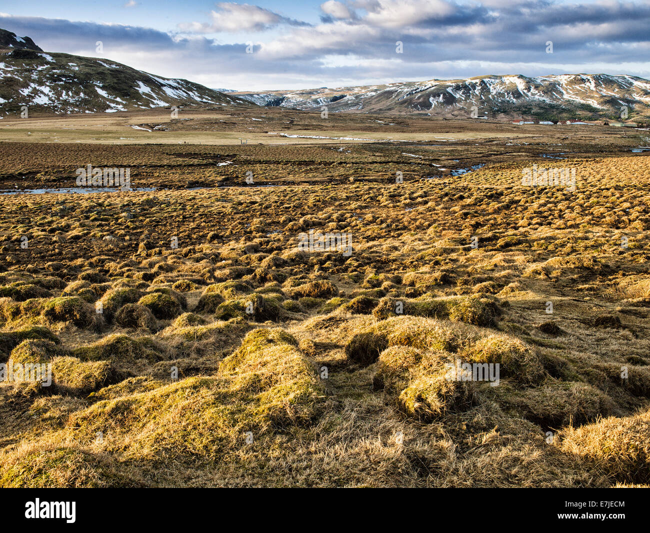 Triangle d'or, île, l'Islande, Europe, Mosfellsdalur, Europe du Nord, hiver, paysage, paysage, Banque D'Images Triangle d'or, île, l'Islande, Europe, Mosfellsdalur, Europe du Nord, hiver, paysage, paysage, Banque D'Images