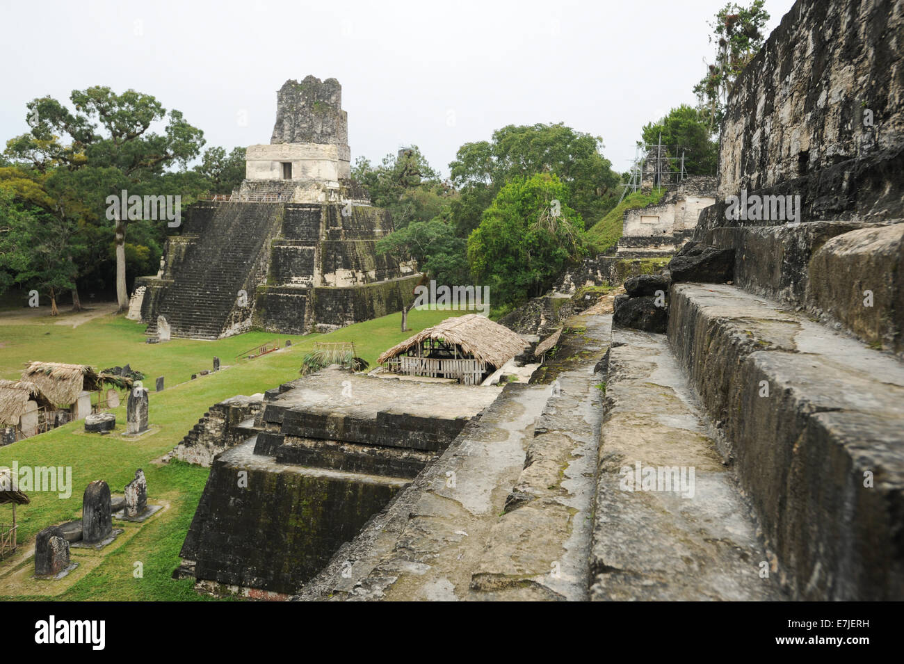 Le Guatemala, en Amérique centrale, Peten, acropole, l'Amérique, l'antique, archéologie, architecture, bâtiments, centrale, ville, civilizatio Banque D'Images