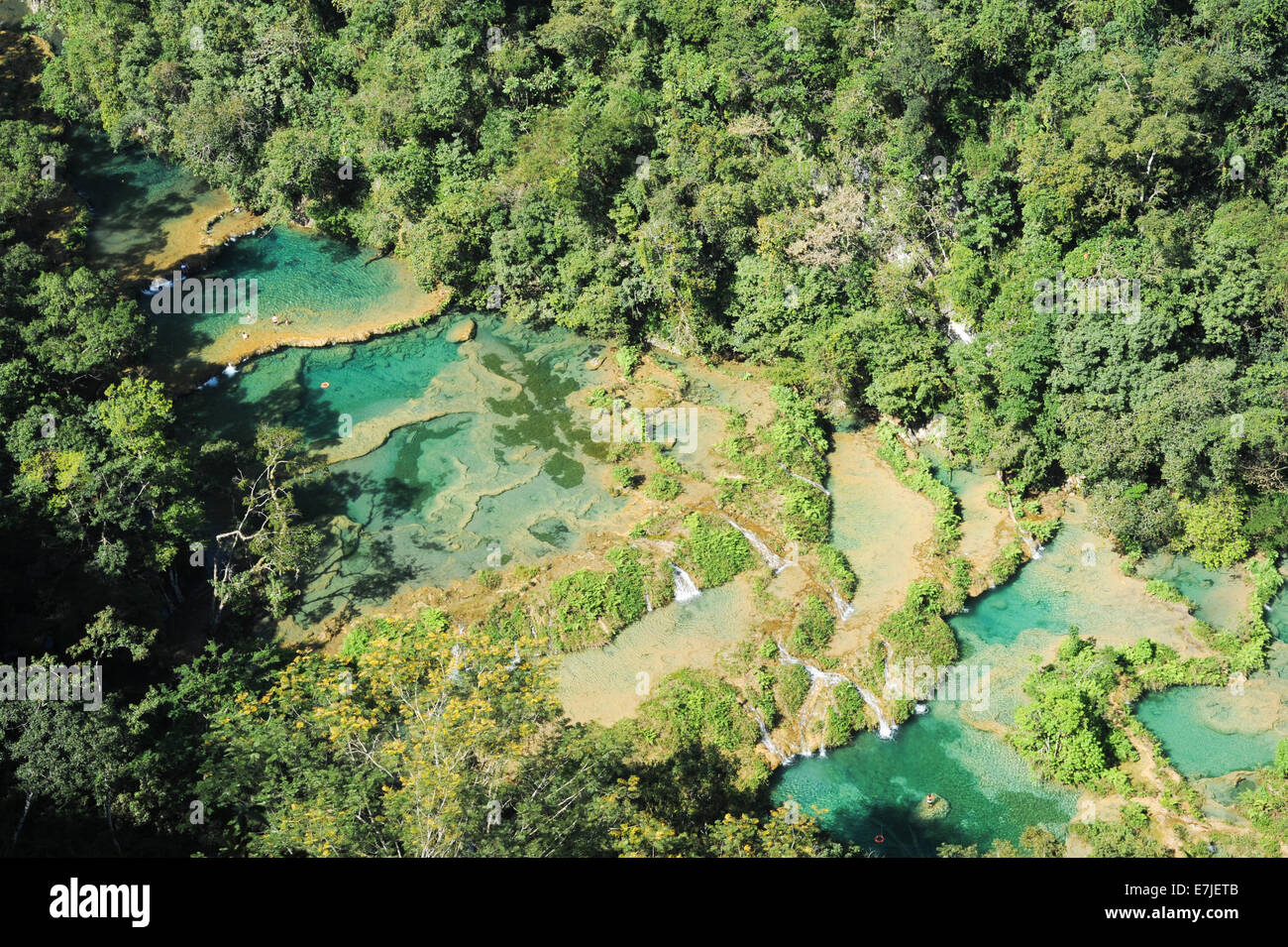 Le Guatemala, en Amérique centrale, Semuc Champey, Alta Verapaz, cahabon, extérieur, l'extérieur, des chutes, automne, forêt, lanquin, endroits, Banque D'Images