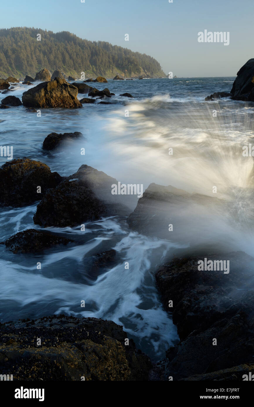 USA, United States, Amérique, Californie, dans le nord de la côte du Pacifique,,, Wild, surf, rochers, mer, paysage de la pile, sans personnage, vertical, Banque D'Images