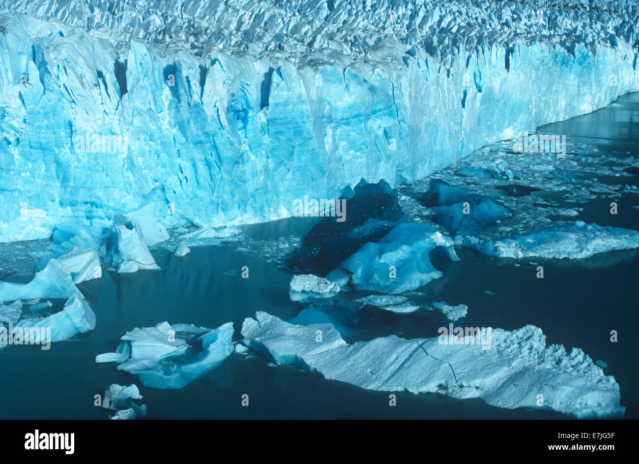 Le Glacier Perito Moreno, Lago Argentino,, Patagonie, Argentine Banque D'Images