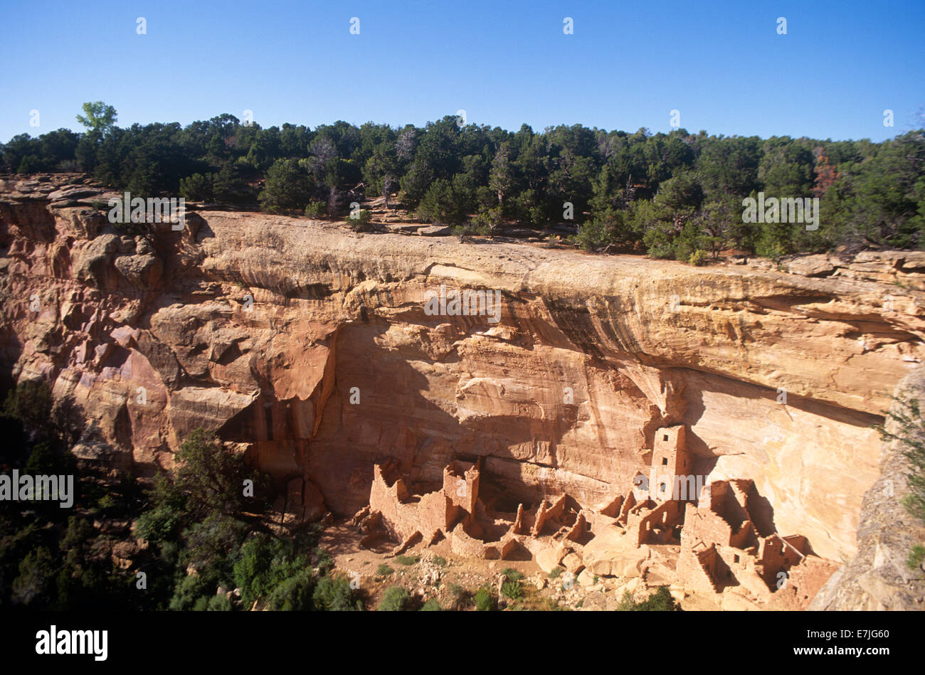 L'ancienne, d'habitations, de Mesa Verde National Park, Colorado, Banque D'Images