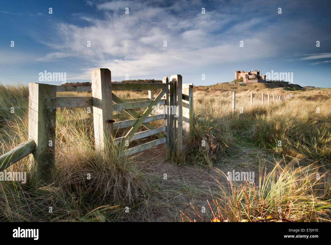 Château de Bamburgh, dunes de sable de Bamburgh, Bamburgh Northumberland, England, UK Banque D'Images