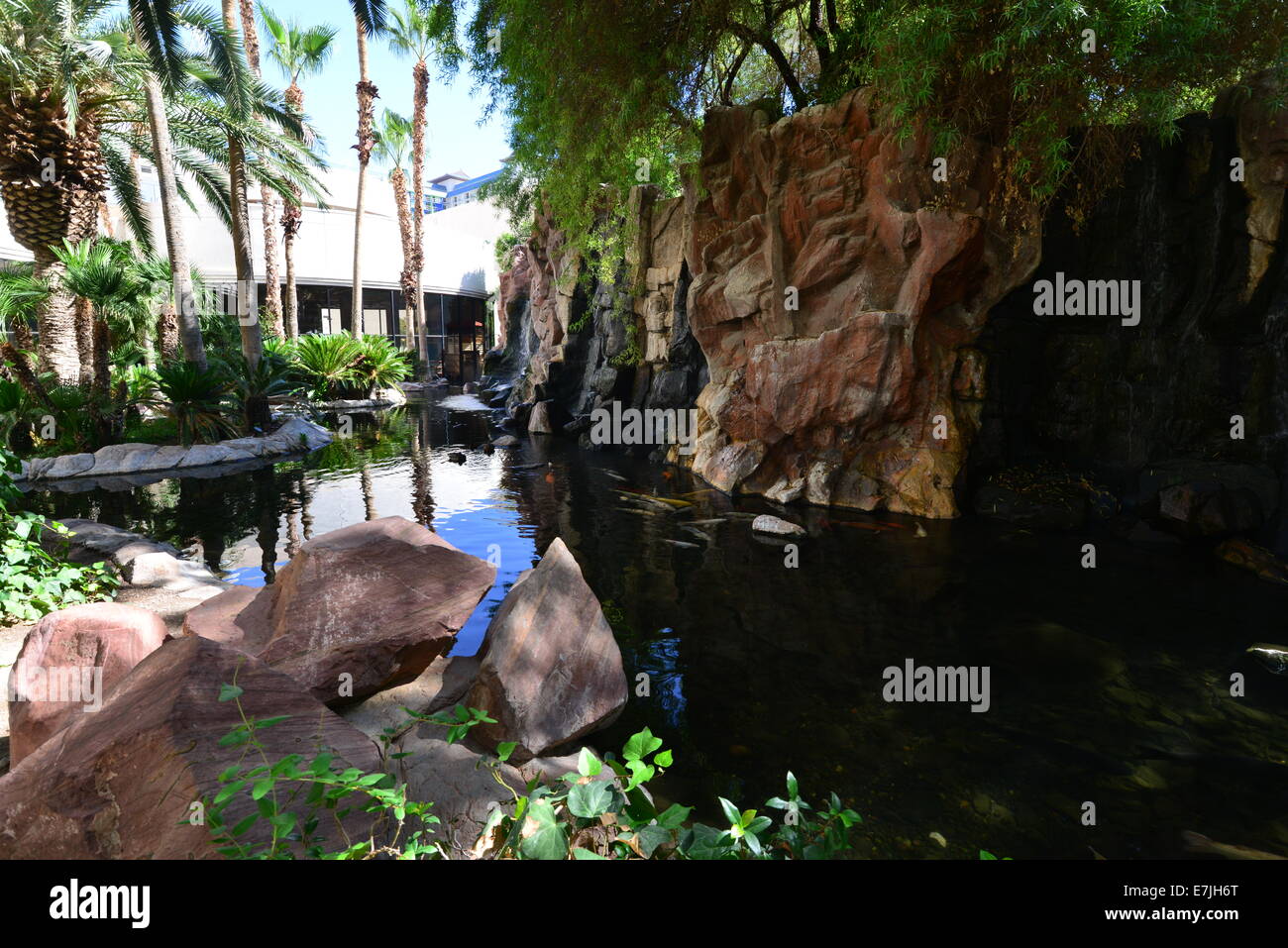 Une piscine dans les rochers avec des poissons dans un hôtel à Las Vegas Banque D'Images
