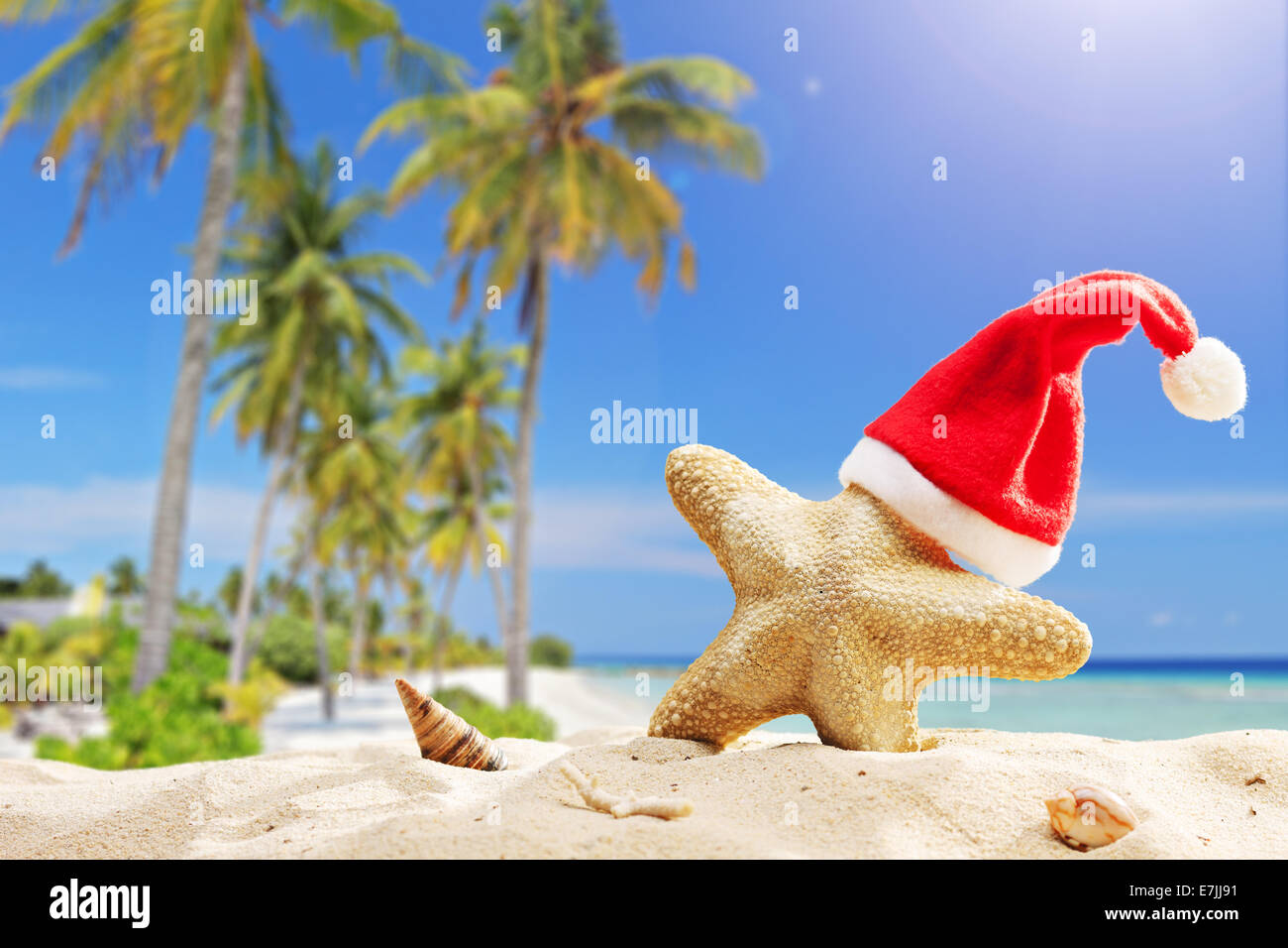 Starfish with Santa hat sur elle sur une plage tropicale sur une chaude journée d'été Banque D'Images
