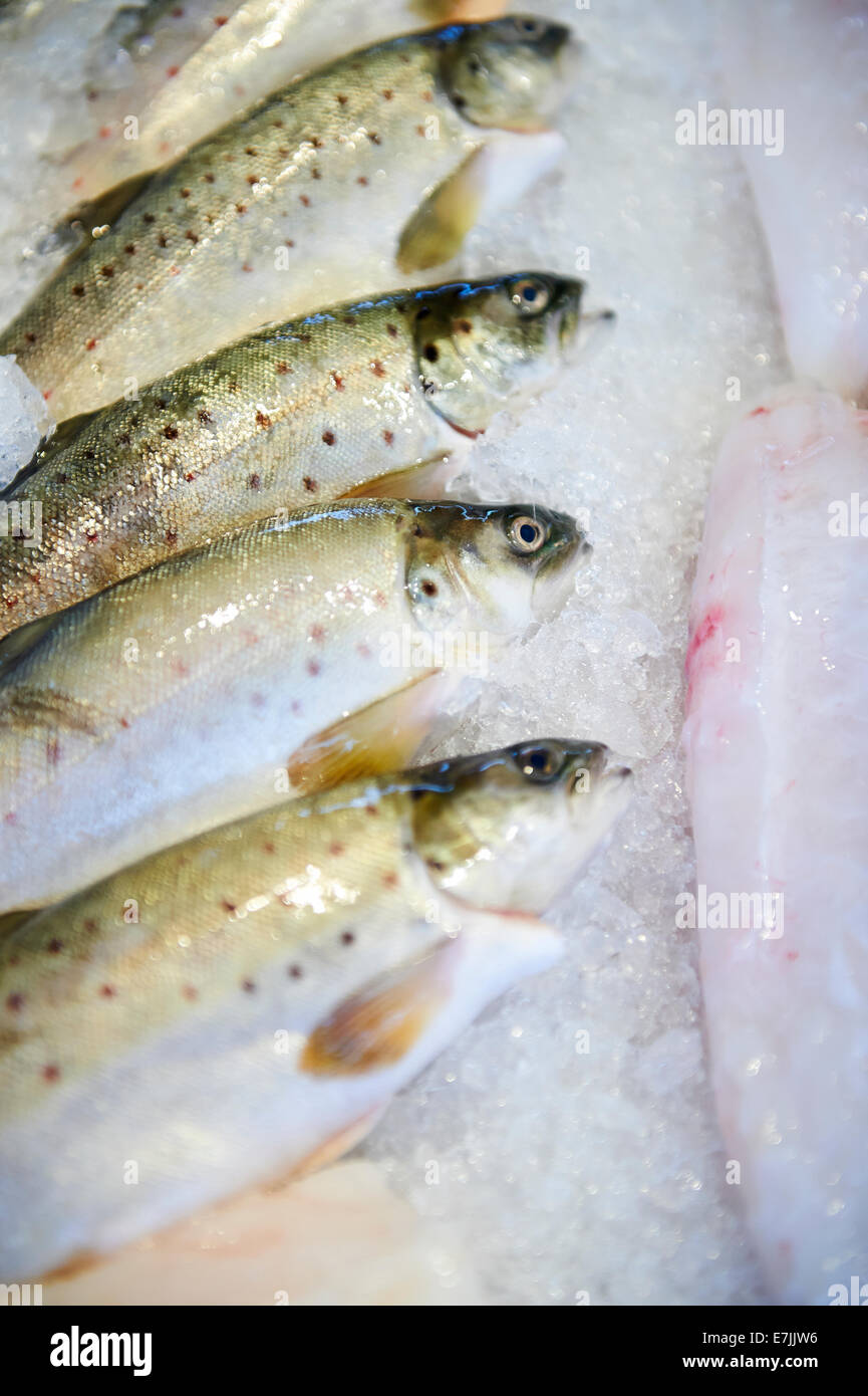 Le poisson pour la vente sur un stand au marché aux poissons de Torget, Bergen, Norvège, 2014. Banque D'Images