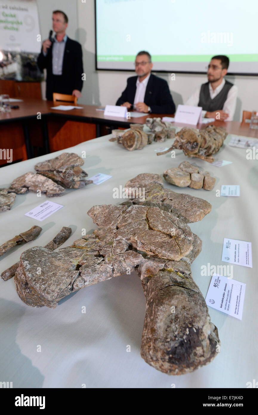 Prague, République tchèque. Sep 19, 2014. Des représentants de la Commission géologique tchèque a présenté les réalisations de la paléontologie et les fossiles Collection tchèque de l'Antarctique lors d'une conférence de presse à Prague, en République tchèque, le 19 septembre 2014. Photo : CTK/Vondrous Romain Photo/Alamy Live News Banque D'Images