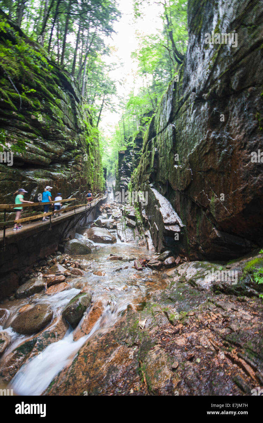 Flume Gorge New Hampshire. Flume Gorge, Lincoln, New Hampshire, Franconia Notch State Park Banque D'Images