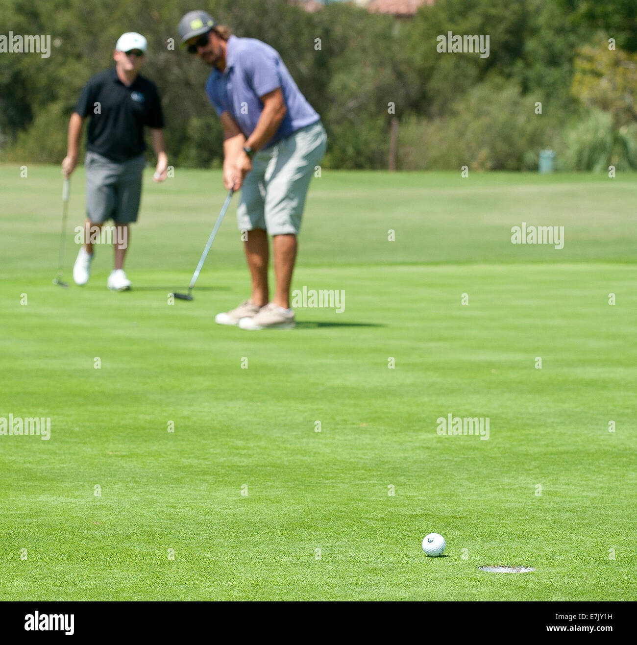 Dana Point, Californie, USA. Sep 7, 2014. -Teemu Selanne met en place et les putts sur le green 5ème à la Monarch Beach Golf Links à Dana Point, Californie le dimanche matin, le 7 septembre 2014. --- Capitaine de l'équipe de canard Anaheim Ryan Getzlaf a accueilli la 4e conférence annuelle à la fusillade Golf Getzlaf Monarch Beach Golf Links, le dimanche. Le bénéfice permettra de financer un traitement pour la Dystrophie Musculaire de Duchenne, une maladie musculaire effectuant 1 tous les 3500 garçons. © David Bro/ZUMA/Alamy Fil Live News Banque D'Images