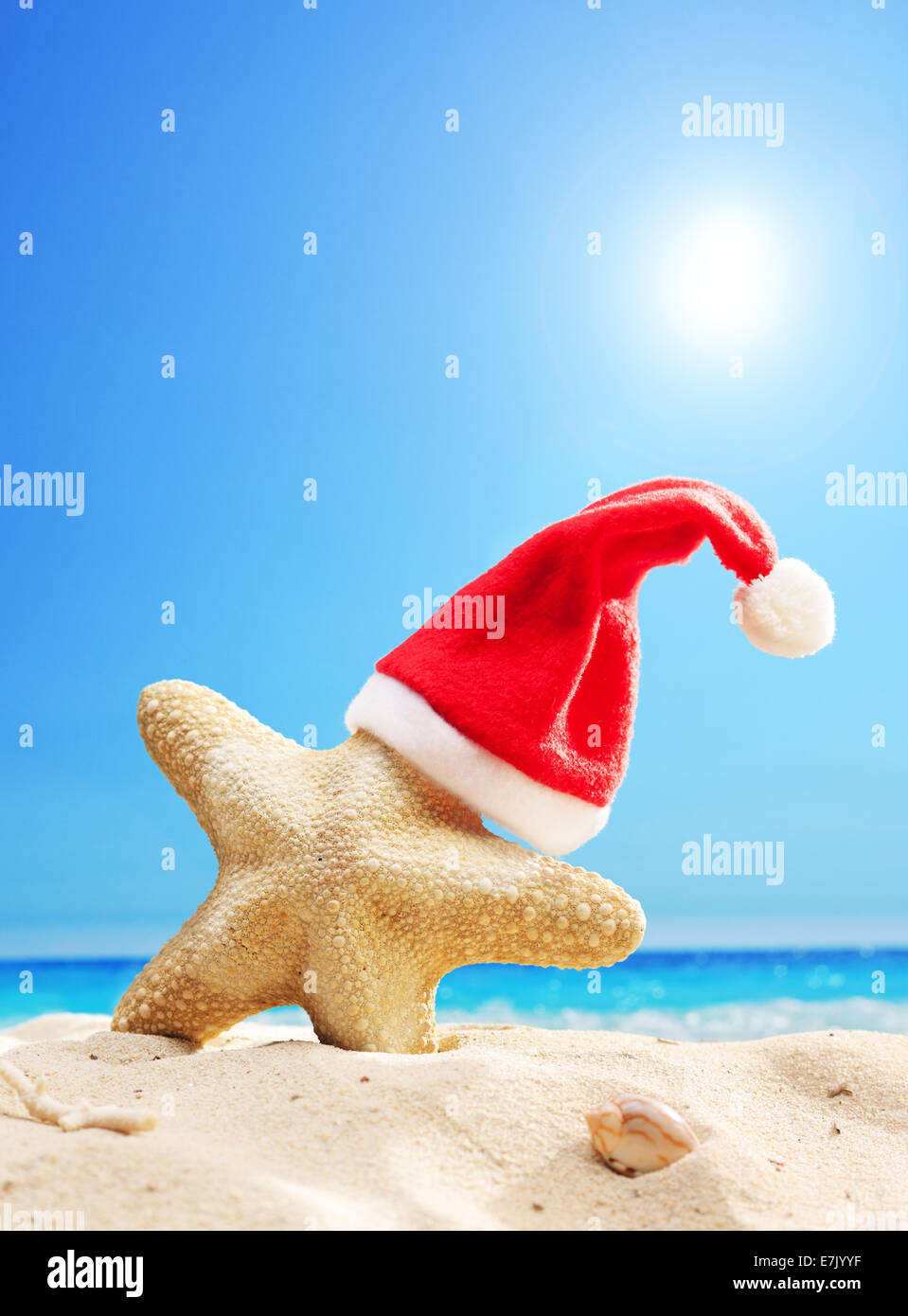 Santa hat sur l'étoile de mer sur une plage sur une journée ensoleillée Banque D'Images