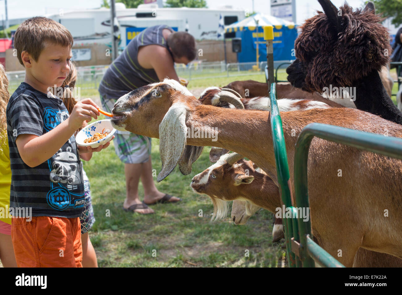 Sterling Heights, Michigan - Les enfants de nourrir les animaux de ferme dans un zoo pour enfants lors d'un festival. Banque D'Images