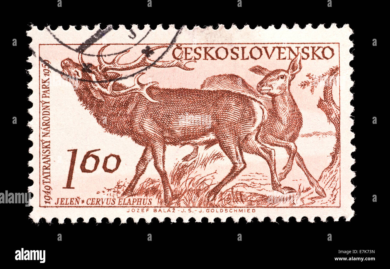 Timbre-poste de la Tchécoslovaquie illustrant le cerf (Cervus elaphus) Banque D'Images