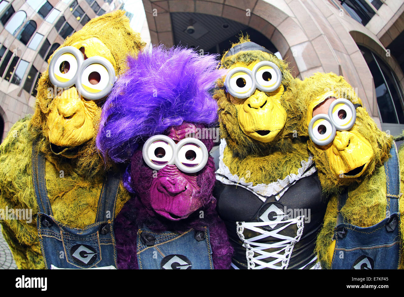 Londres, Royaume-Uni. 20 septembre 2014. Binn équipe Vann habillés comme des serviteurs des gorilles Détestable moi dans le Great Gorilla Run 2014. Des centaines de gens déguisés en gorilles, beaucoup d'entre eux déguisés ont pris part à la Great Gorilla Run pour recueillir de l'argent pour les gorilles de montagne qui sont sur le point de disparaître. Moins de 800 sont à l'état sauvage. Crédit : Paul Brown/Alamy Live News Banque D'Images