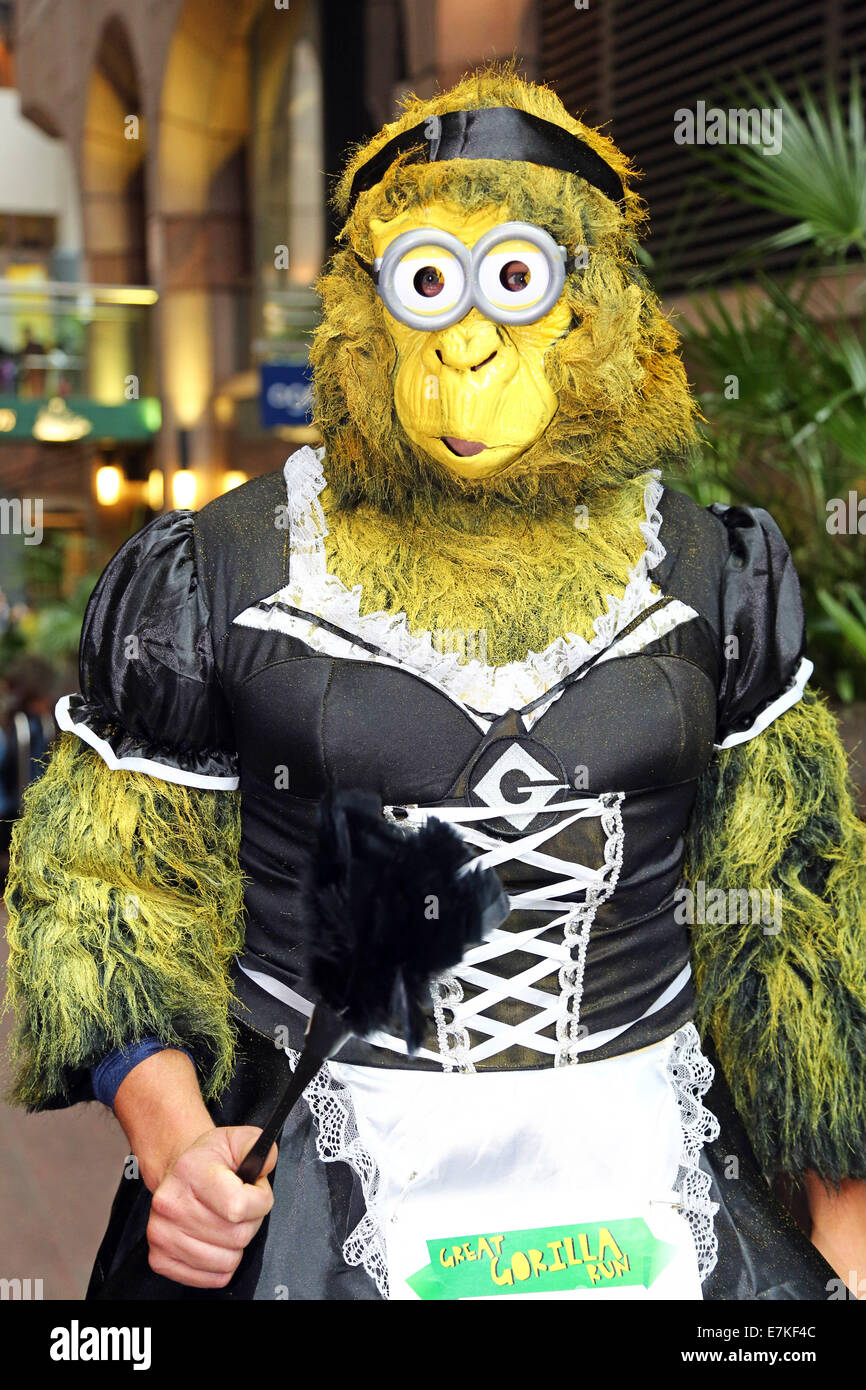 Londres, Royaume-Uni. 20 septembre 2014. Binn équipe Vann habillés comme des serviteurs des gorilles Détestable moi dans le Great Gorilla Run 2014. Des centaines de gens déguisés en gorilles, beaucoup d'entre eux déguisés ont pris part à la Great Gorilla Run pour recueillir de l'argent pour les gorilles de montagne qui sont sur le point de disparaître. Moins de 800 sont à l'état sauvage. Crédit : Paul Brown/Alamy Live News Banque D'Images