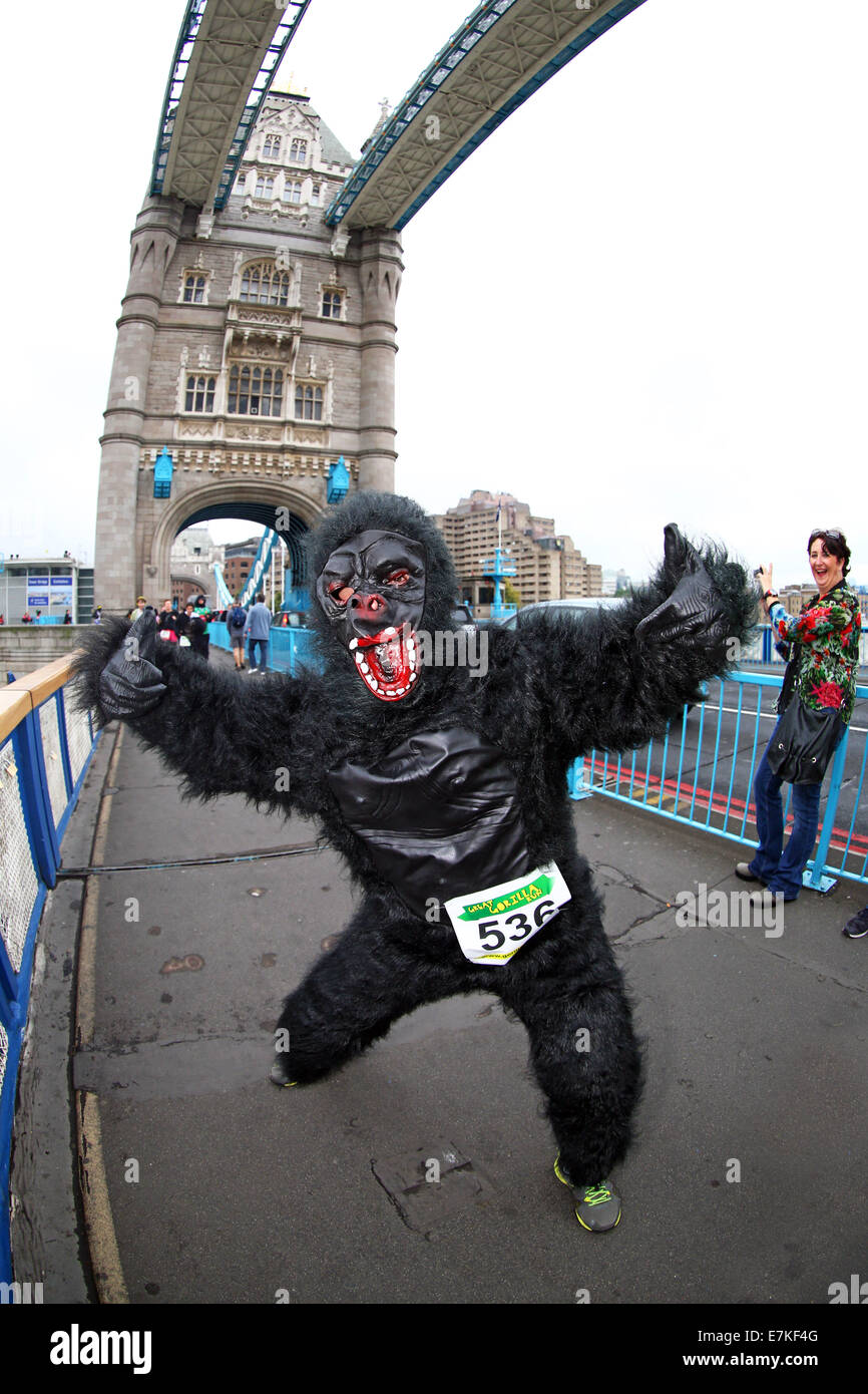 Londres, Royaume-Uni. 20 septembre 2014. Les participants sur le Tower Bridge dans le Great Gorilla Run 2014. Des centaines de gens déguisés en gorilles, beaucoup d'entre eux déguisés ont pris part à la Great Gorilla Run pour recueillir de l'argent pour les gorilles de montagne qui sont sur le point de disparaître. Moins de 800 sont à l'état sauvage. Crédit : Paul Brown/Alamy Live News Banque D'Images