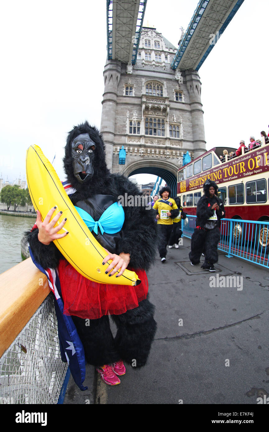 Londres, Royaume-Uni. 20 septembre 2014. Les participants sur le Tower Bridge dans le Great Gorilla Run 2014. Des centaines de gens déguisés en gorilles, beaucoup d'entre eux déguisés ont pris part à la Great Gorilla Run pour recueillir de l'argent pour les gorilles de montagne qui sont sur le point de disparaître. Moins de 800 sont à l'état sauvage. Crédit : Paul Brown/Alamy Live News Banque D'Images