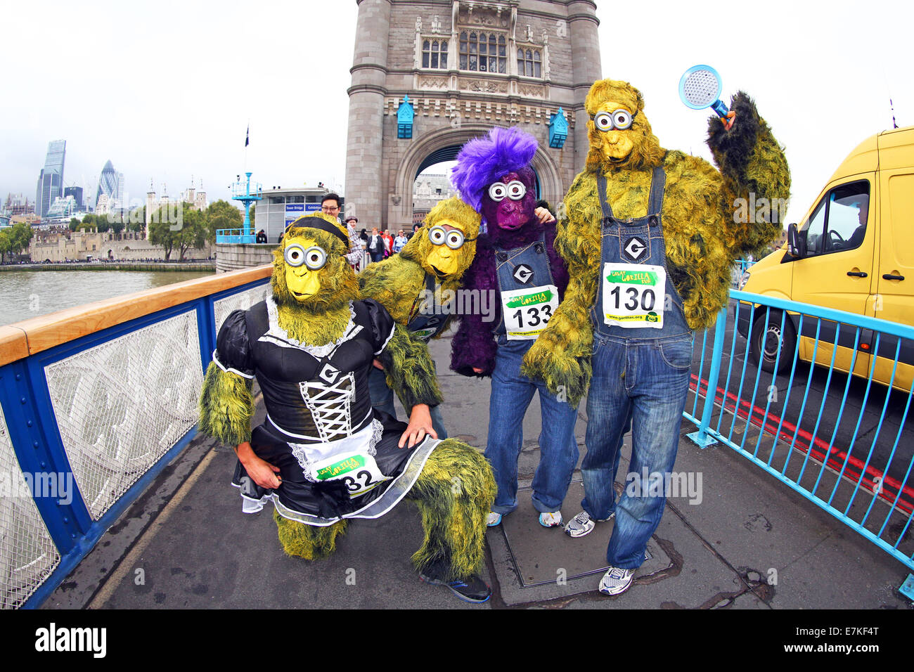 Londres, Royaume-Uni. 20 septembre 2014. Les participants sur le Tower Bridge dans le Great Gorilla Run 2014. Des centaines de gens déguisés en gorilles, beaucoup d'entre eux déguisés ont pris part à la Great Gorilla Run pour recueillir de l'argent pour les gorilles de montagne qui sont sur le point de disparaître. Moins de 800 sont à l'état sauvage. Crédit : Paul Brown/Alamy Live News Banque D'Images