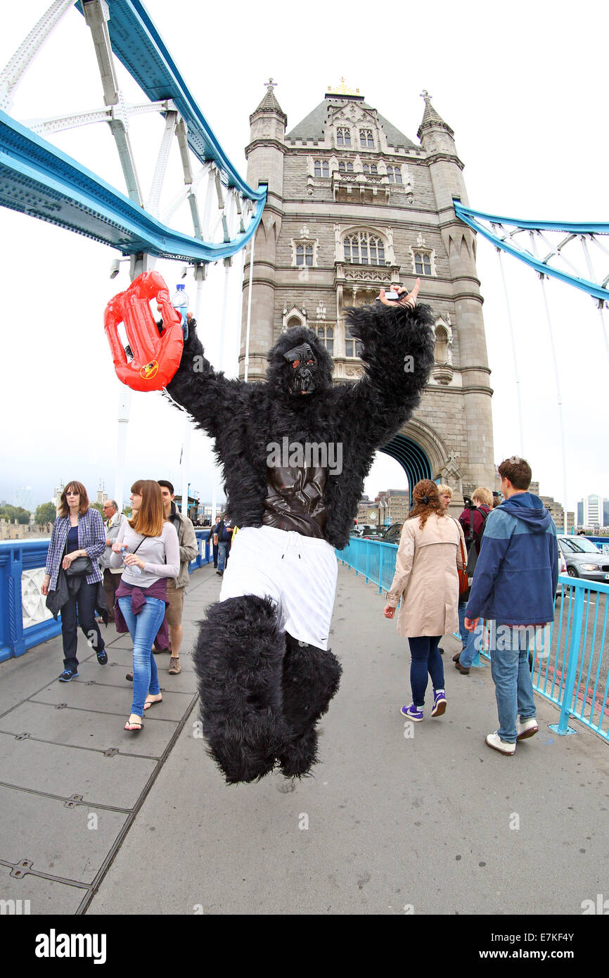 Londres, Royaume-Uni. 20 septembre 2014. Les participants sur le Tower Bridge dans le Great Gorilla Run 2014. Des centaines de gens déguisés en gorilles, beaucoup d'entre eux déguisés ont pris part à la Great Gorilla Run pour recueillir de l'argent pour les gorilles de montagne qui sont sur le point de disparaître. Moins de 800 sont à l'état sauvage. Crédit : Paul Brown/Alamy Live News Banque D'Images
