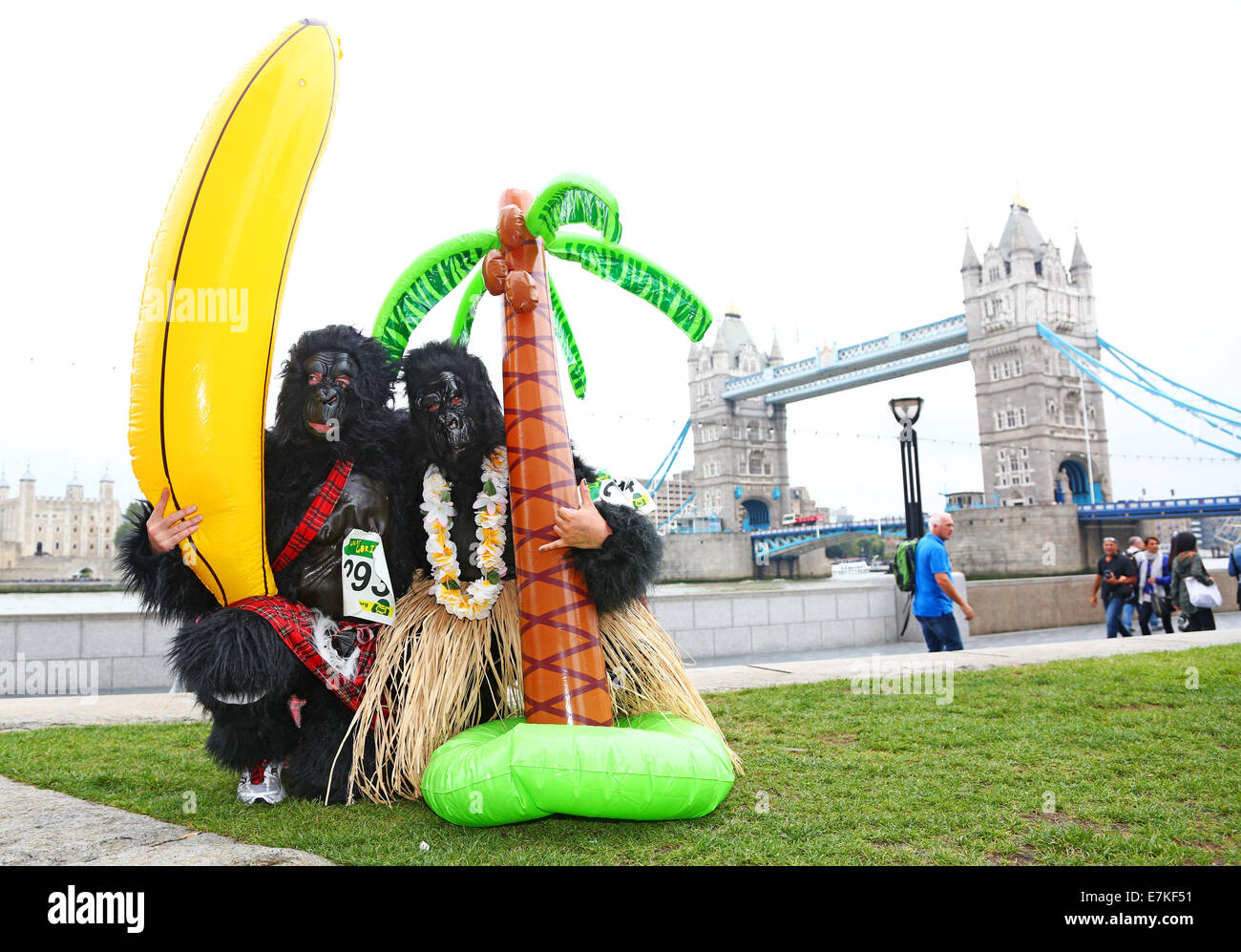 Londres, Royaume-Uni. 20 septembre 2014. Les participants à l'exécution 2014 Great Gorilla. Des centaines de gens déguisés en gorilles, beaucoup d'entre eux déguisés ont pris part à la Great Gorilla Run pour recueillir de l'argent pour les gorilles de montagne qui sont sur le point de disparaître. Moins de 800 sont à l'état sauvage. Crédit : Paul Brown/Alamy Live News Banque D'Images