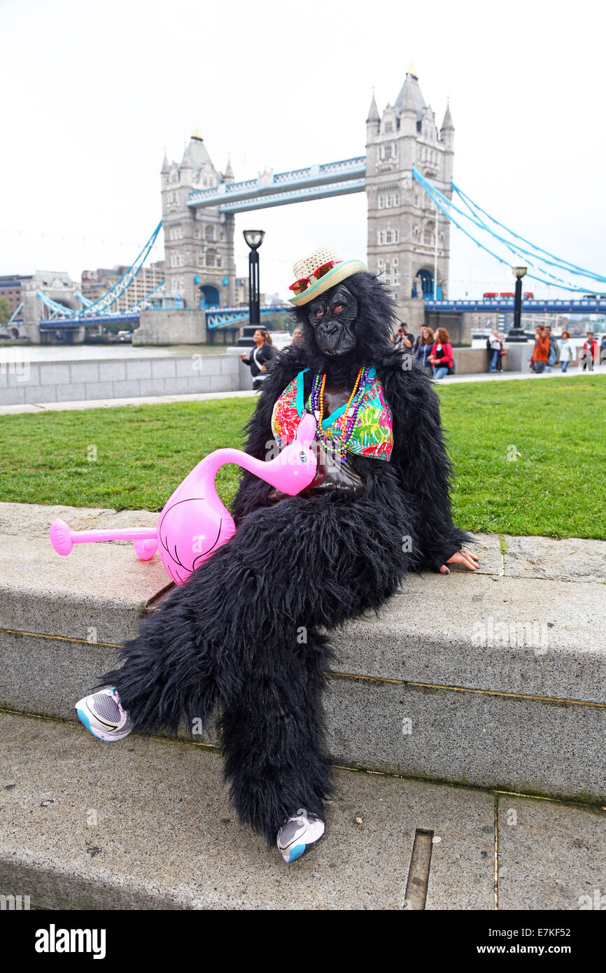 Londres, Royaume-Uni. 20 septembre 2014. Les participants à l'exécution 2014 Great Gorilla. Des centaines de gens déguisés en gorilles, beaucoup d'entre eux déguisés ont pris part à la Great Gorilla Run pour recueillir de l'argent pour les gorilles de montagne qui sont sur le point de disparaître. Moins de 800 sont à l'état sauvage. Crédit : Paul Brown/Alamy Live News Banque D'Images
