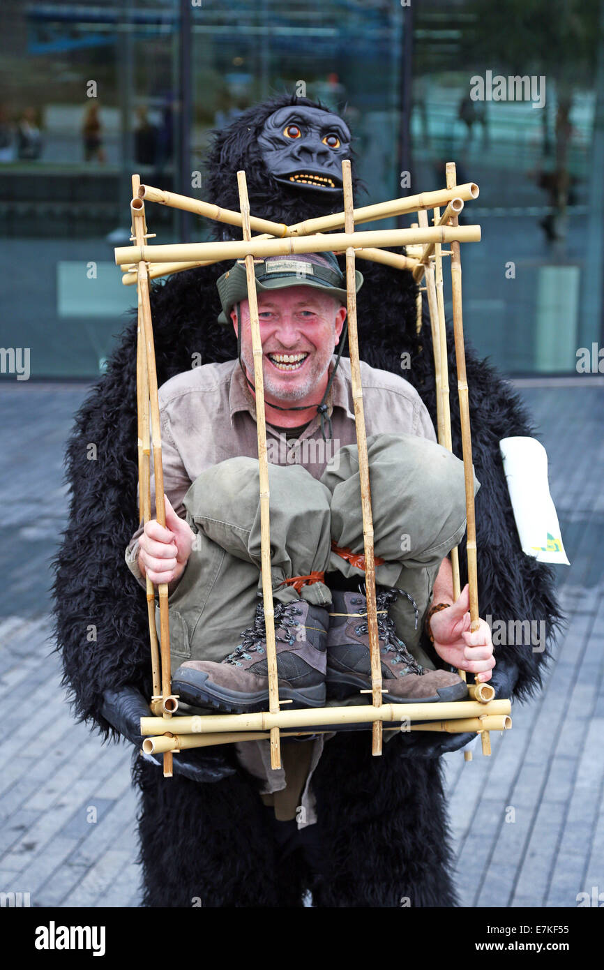 Londres, Royaume-Uni. 20 septembre 2014. Les participants à l'exécution 2014 Great Gorilla. Des centaines de gens déguisés en gorilles, beaucoup d'entre eux déguisés ont pris part à la Great Gorilla Run pour recueillir de l'argent pour les gorilles de montagne qui sont sur le point de disparaître. Moins de 800 sont à l'état sauvage. Crédit : Paul Brown/Alamy Live News Banque D'Images