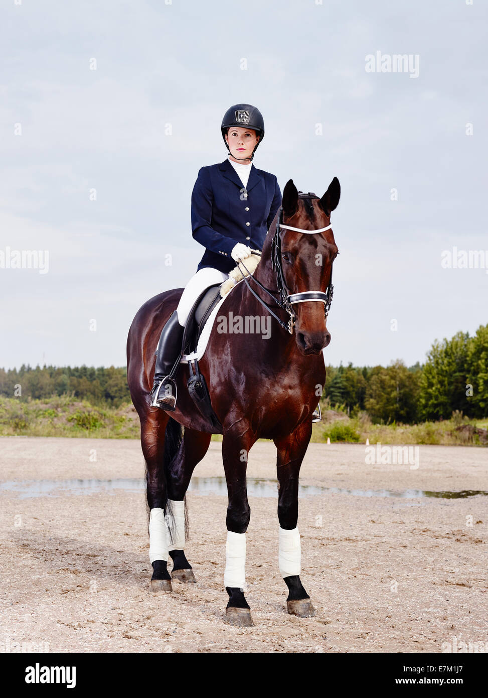 Cheval brun et belle femme portant des vêtements équitation Banque D'Images