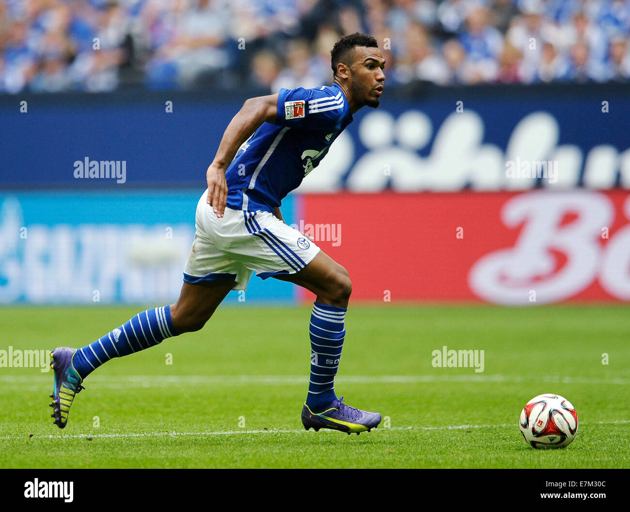 Bundesliga allemande, de la saison 2014/2015, journée 4, 20.9.2014, Schalke 04 - Eintracht Francfort ---- Eric Choupo-Moting (S04) Banque D'Images