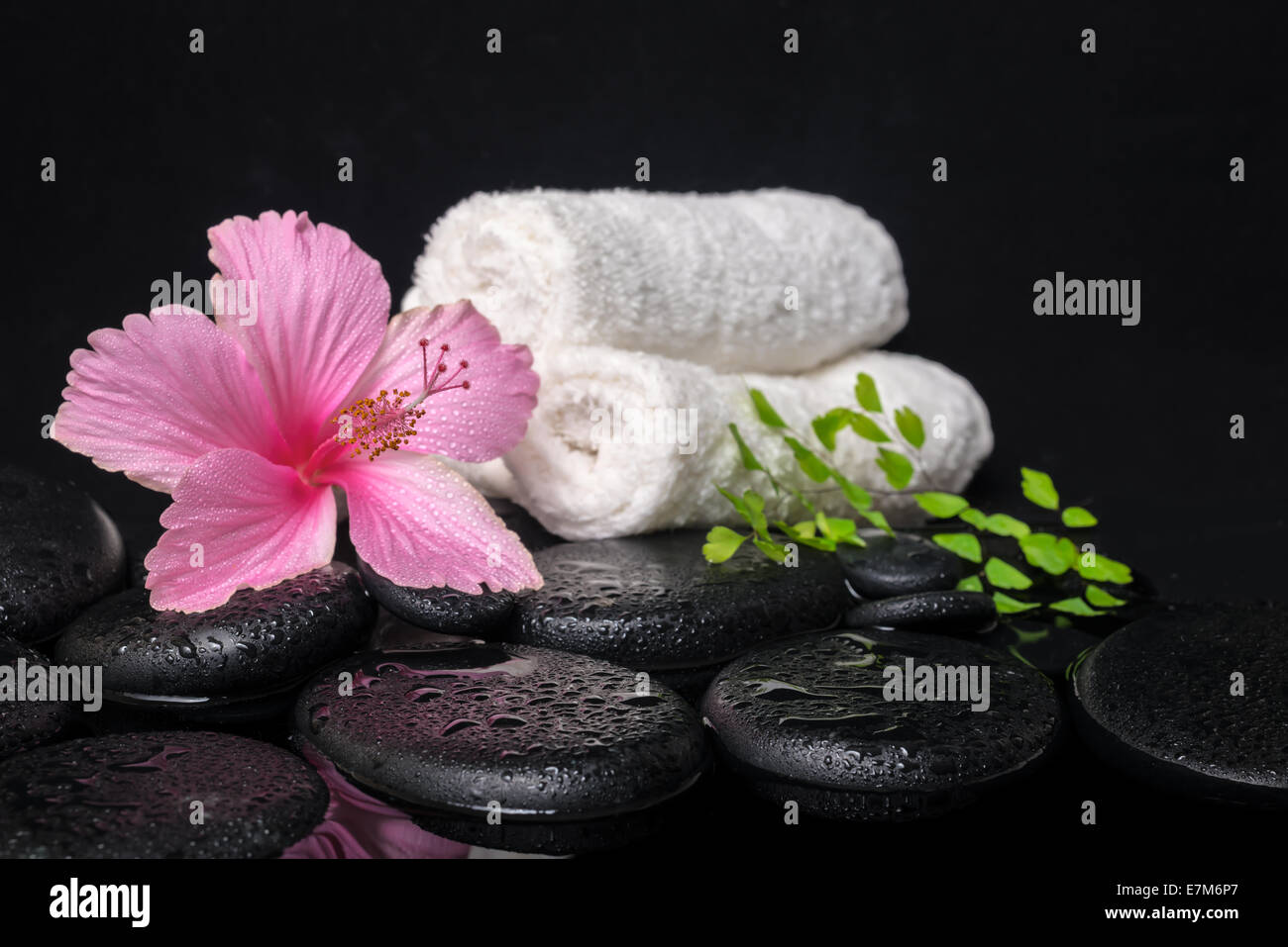 Magnifique spa still life of pink hibiscus, fougère de la direction générale, les chutes et les serviettes sur le zen stones avec réflexion, de l'eau libre Banque D'Images