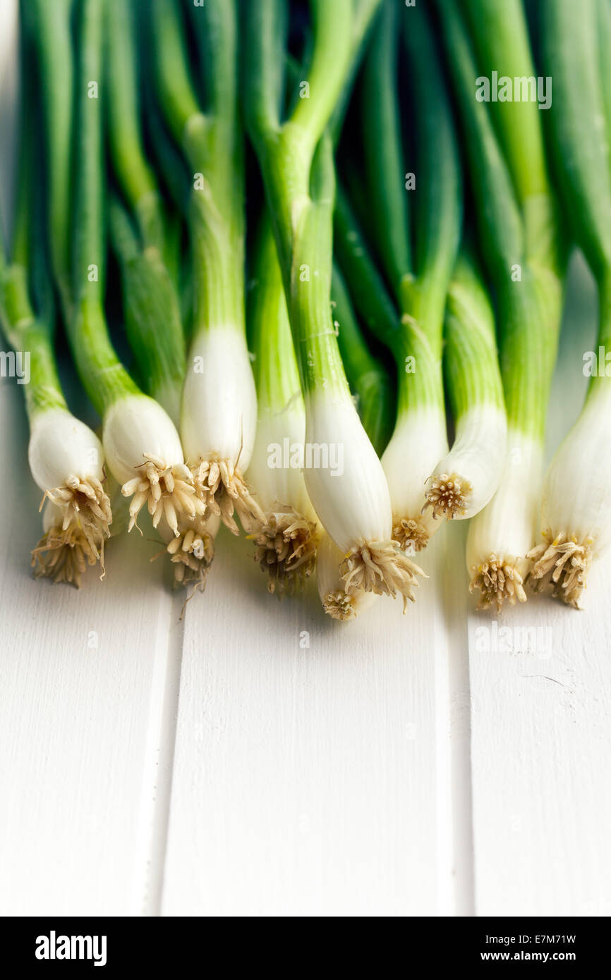 L'oignon de printemps sur tableau blanc Banque D'Images