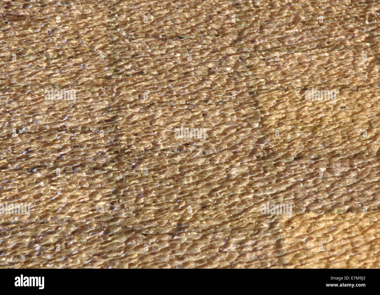 Les carreaux avec de l'eau peu profonde de la pluie douche Banque D'Images