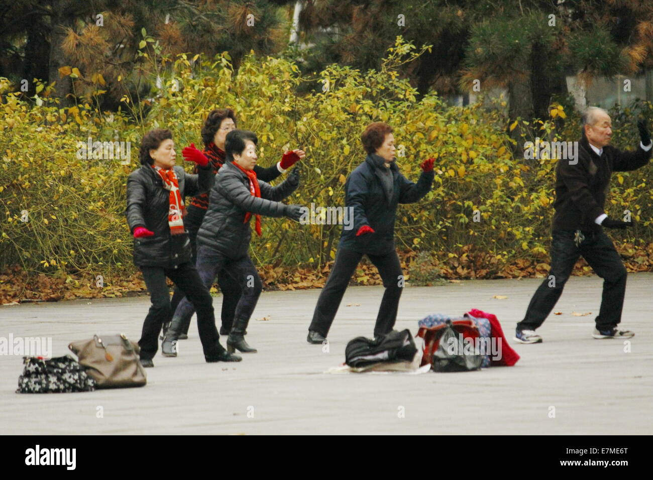 Faire du peuple chinois de tai chi au Parc de la Villette, Cité des sciences et de l'industrie, Paris, France. Banque D'Images