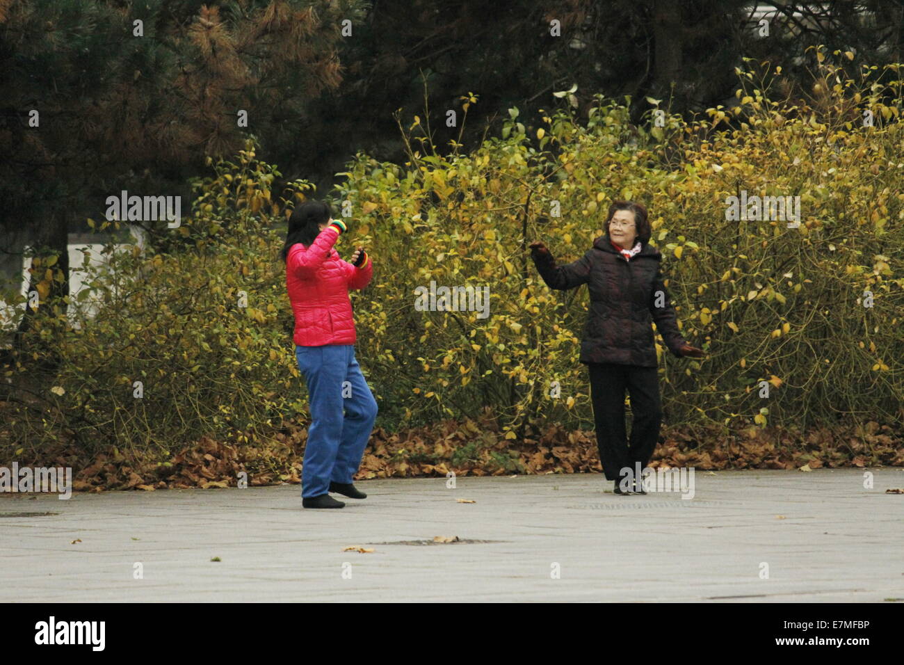 Faire du peuple chinois de tai chi au Parc de la Villette, Cité des sciences et de l'industrie, Paris, France. Banque D'Images