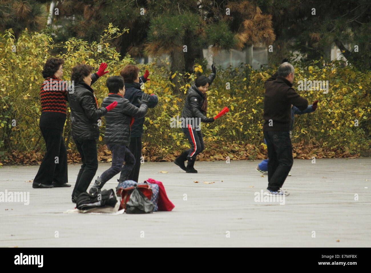 Faire du peuple chinois de tai chi au Parc de la Villette, Cité des sciences et de l'industrie, Paris, France. Banque D'Images