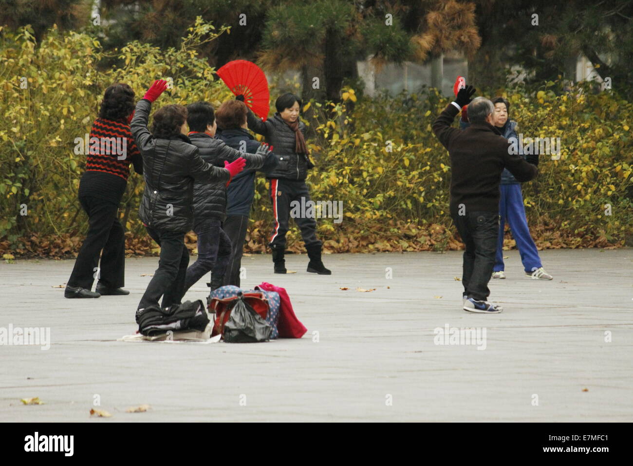 Faire du peuple chinois de tai chi au Parc de la Villette, Cité des sciences et de l'industrie, Paris, France. Banque D'Images