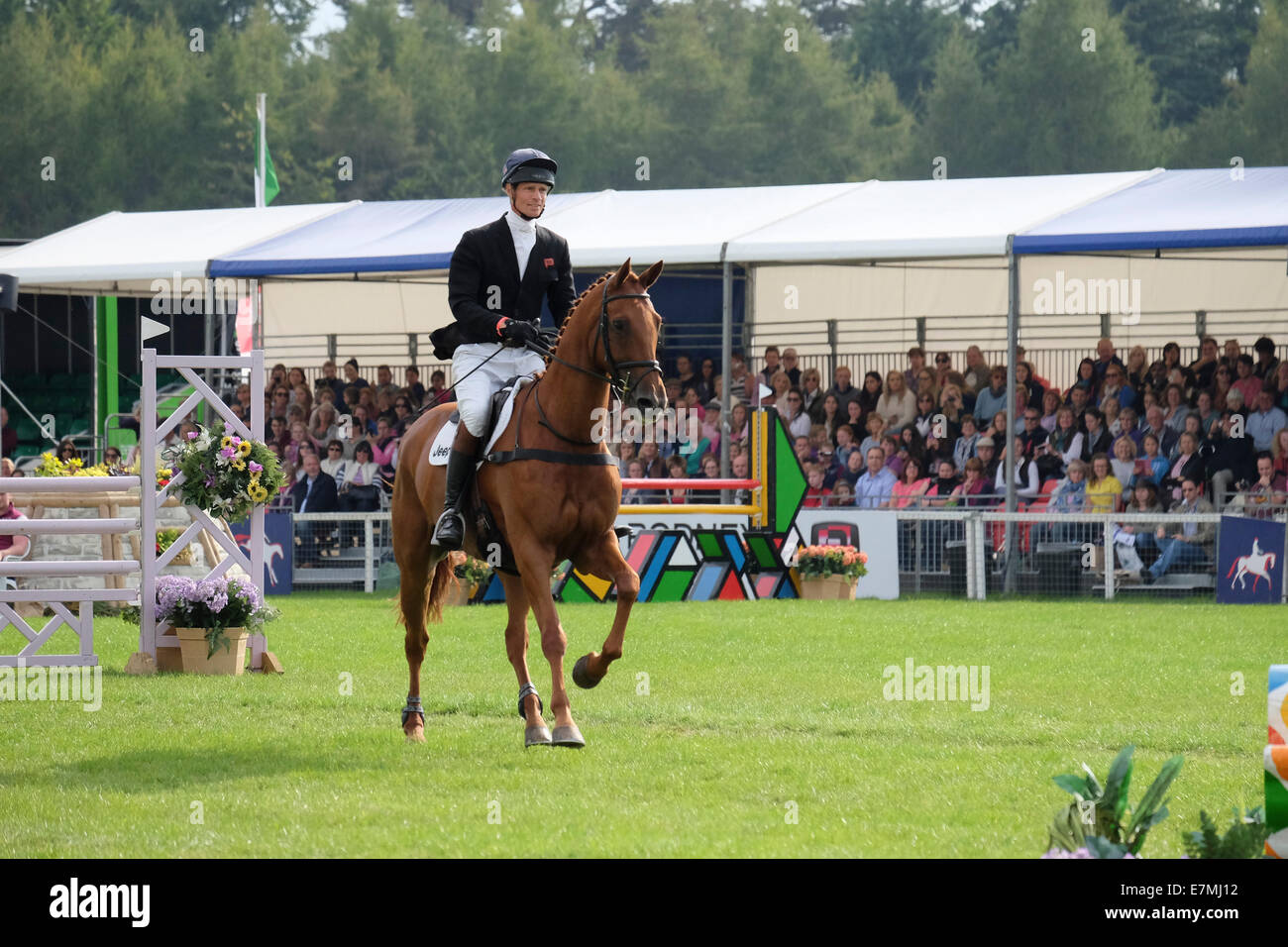 William Fox Pitt, Eventing, Blenheim Palace, 2014 Banque D'Images
