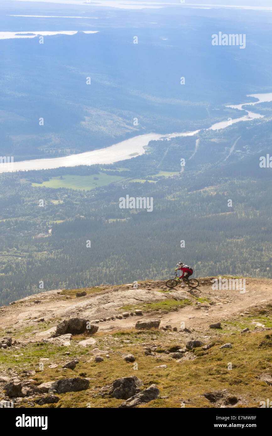 'Easy Rider' trail à Åre bike park, Mt, Åre, Suède Åreskutan Banque D'Images