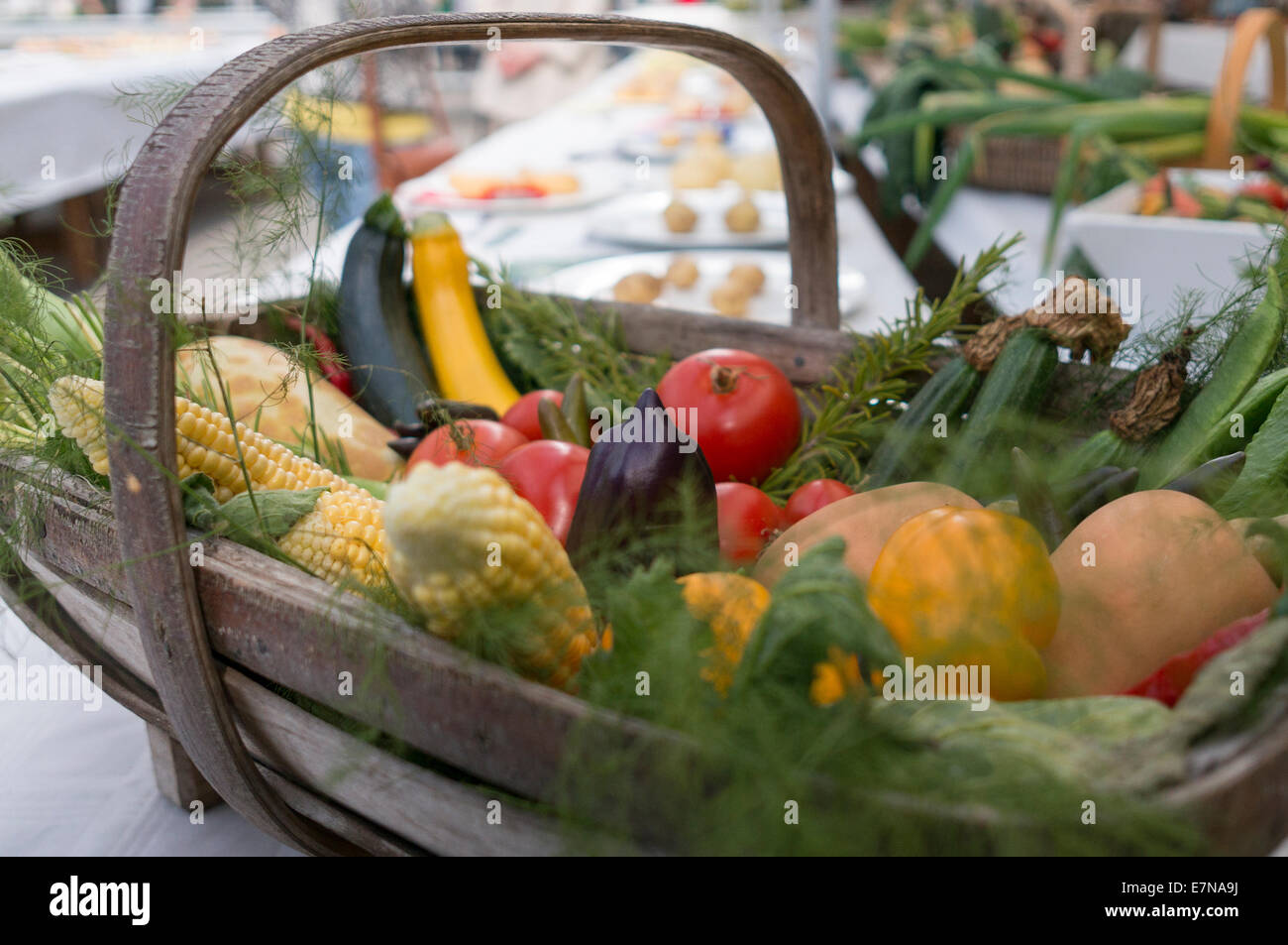 Panier de récolte de légumes Banque D'Images