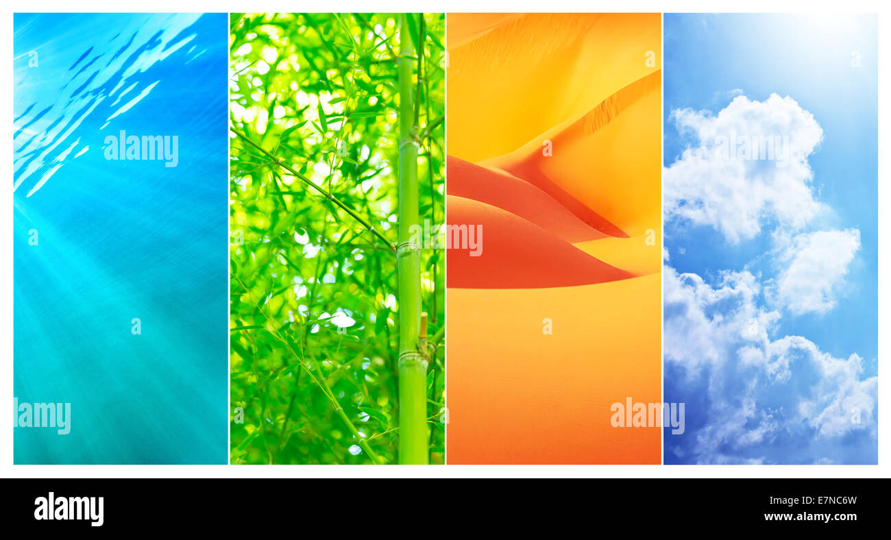 Milieux naturels du collage, de l'eau claire, transparente usine en bambou vert frais et sec du désert de sable orange, bleu ciel nuageux Banque D'Images